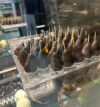 Urun – ıslak kek tarifi kakaolu ıslak kek tarifi – Türk tatlı ve pasta tarifl...